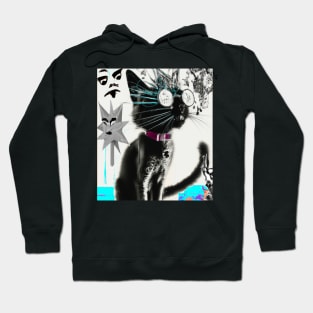 Catlook Hoodie